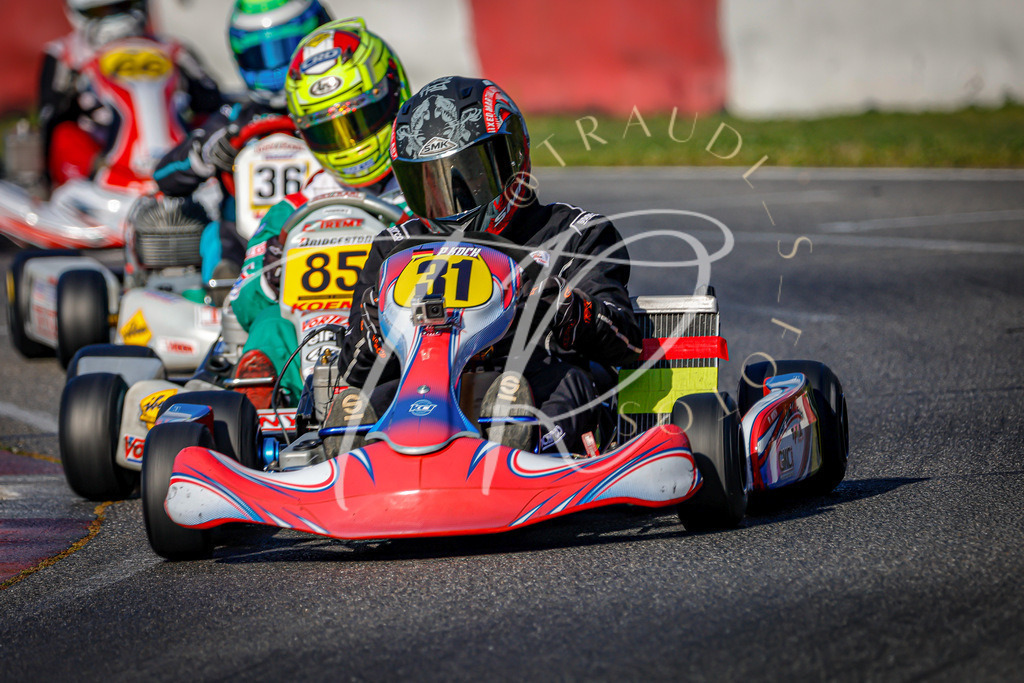 7249915A-B820-498C-8997-811A38D1C79E | traudl_s_fotos