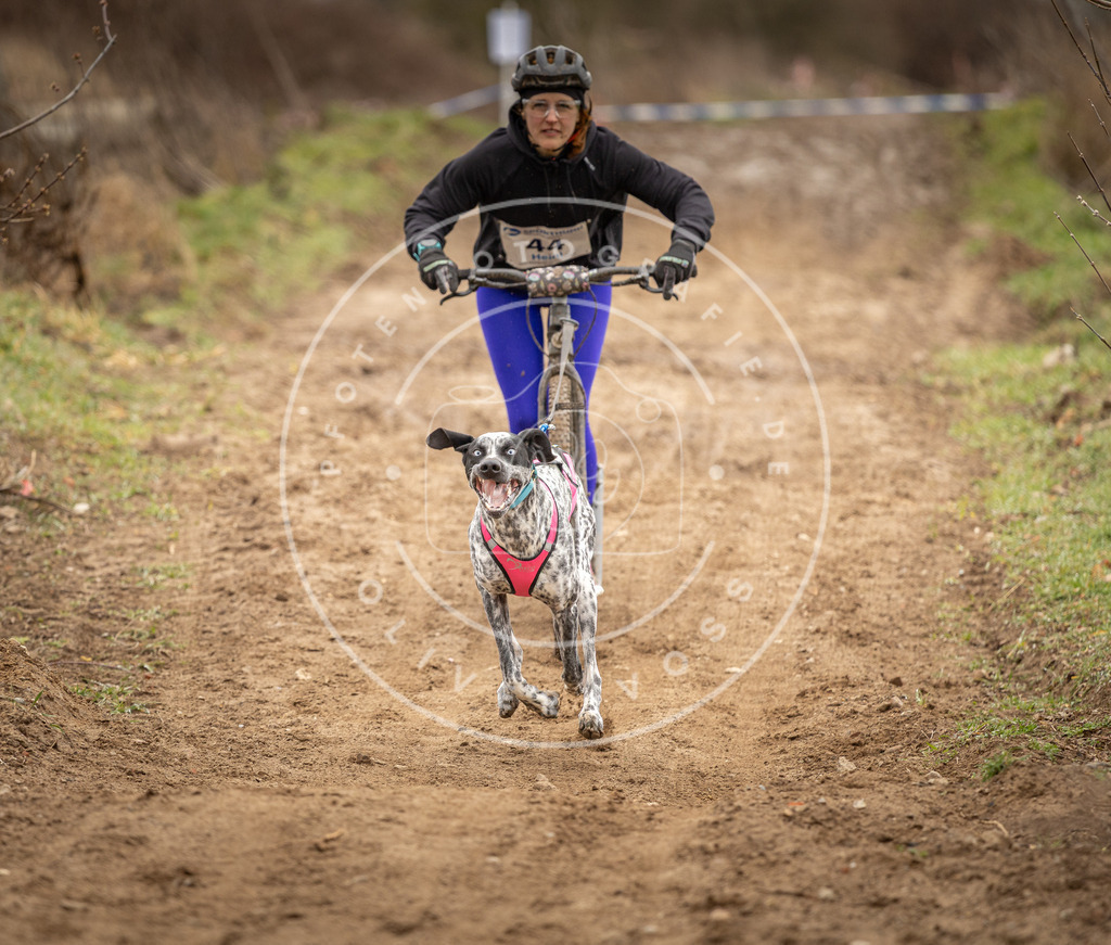 DV3A1286 | Hundefotografie, Tierfotograf, Pfotenfotografie, Fotoshooting Hund, Hunde Portrait, Hundesport, Hundeportraits, Heideshooting, Hunde, Sportfotograf, Hundefotograf, Turnierhundsport, THS,  - Realisiert mit Pictrs.com