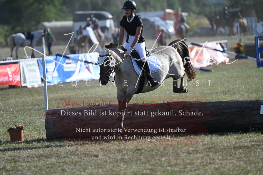 DSC_8951 | Pferde- und Turnierfotografie in Westsachsen. Pferdeportraits, Auftragszeichnungen und intuitive Kunst.