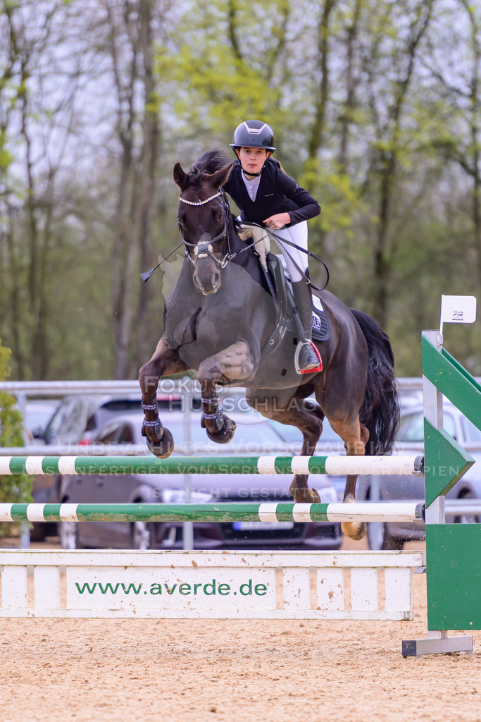 12042026-Mammendorf-Prfg42-0171 | Fokus Hufschlag Fotografie - Realisiert mit Pictrs.com
