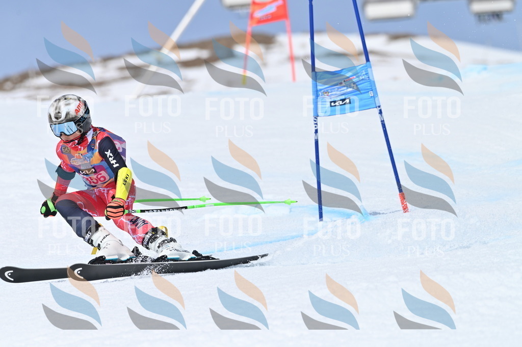 BGV_3768 | holidayphoto