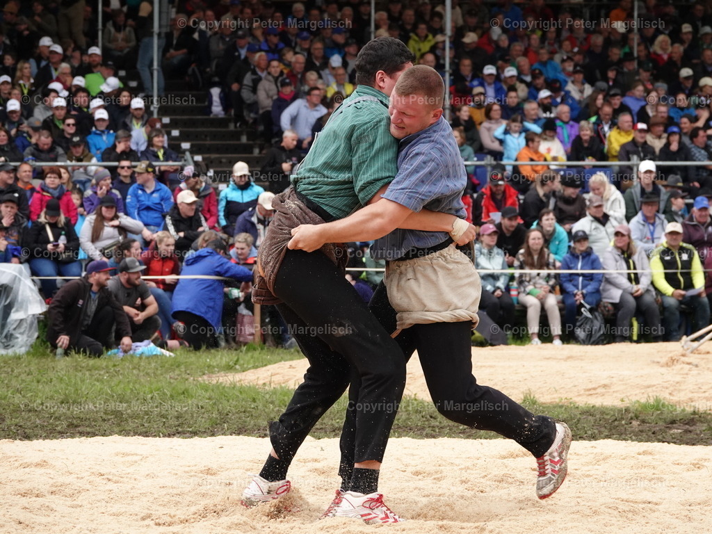 DSC07711 | Schwingen - Realisiert mit Pictrs.com