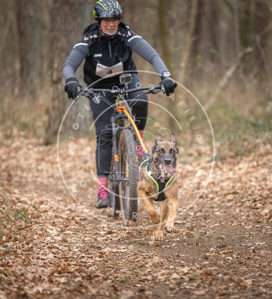 Pfotenfotografie_DV3A6361 | Hundefotografie, Tierfotograf, Pfotenfotografie, Fotoshooting Hund, Hunde Portrait, Hundesport, Hundeportraits, Heideshooting, Hunde, Sportfotograf, Hundefotograf, Turnierhundsport, THS,  - Realisiert mit Pictrs.com