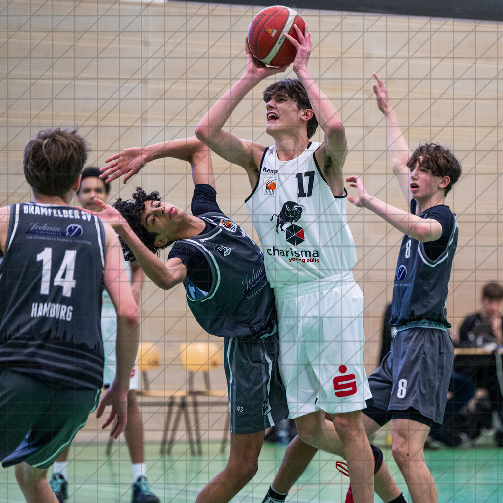 JBBL 24/25 | 02.02.2025 | Charisma Young Bulls vs. Bramfelder SV  | JBBL 24/25 | 02.02.2025 | Charisma Young Bulls vs. Bramfelder SV - - - - - CREDIT, www.bullenfotos.de, Martin König, Hörner Weg 40, D-49078 Osnabrück, +4917663732967, Nutzung und Weitergabe nur zu den vereinbarten Zwecken. Presseanfragen an Urheber. Alle Rechte beim Urheber. - - - - - - Realisiert mit Pictrs.com