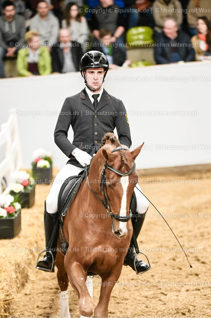 20260307_Hengstvorstellung-Marbach_0216 | equistock