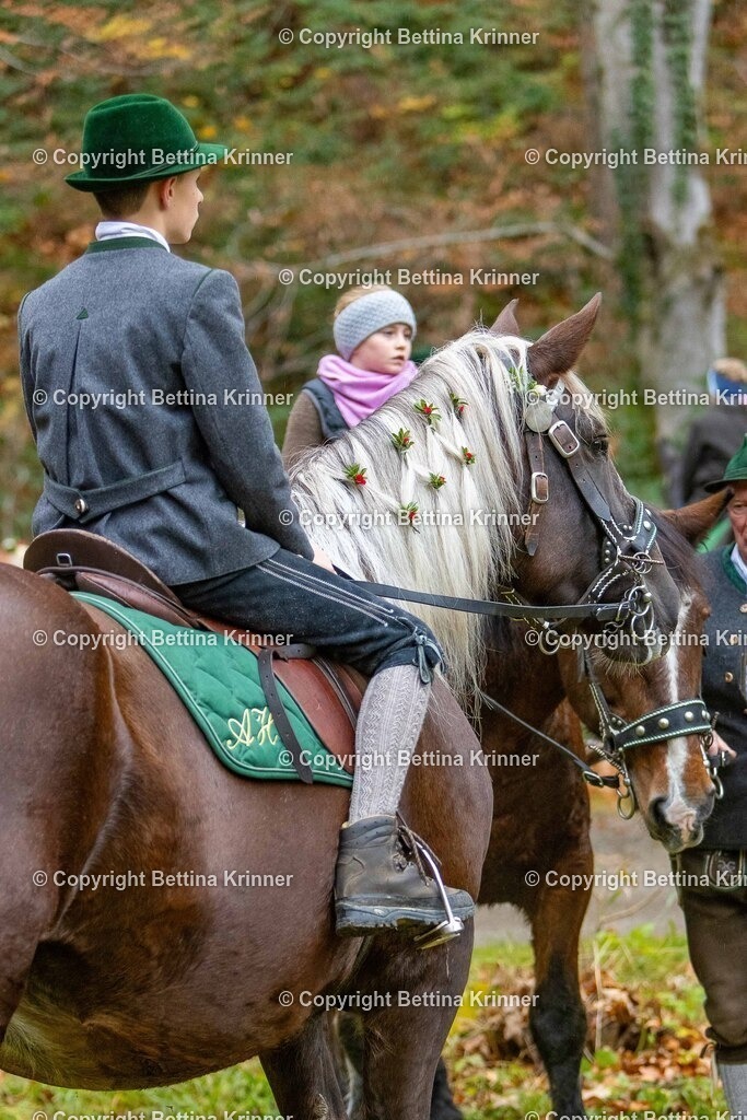 LL25-171 | foto-bettina-krinner - Realisiert mit Pictrs.com