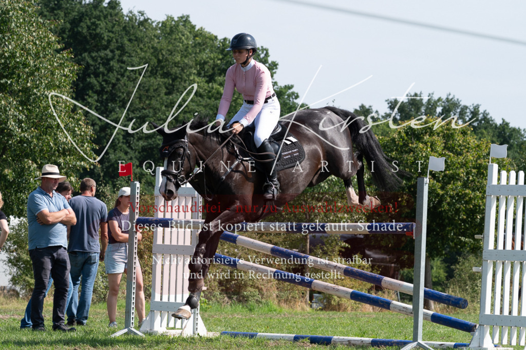 DSC_0864 | Pferde- und Turnierfotografie in Westsachsen. Pferdeportraits, Auftragszeichnungen und intuitive Kunst.