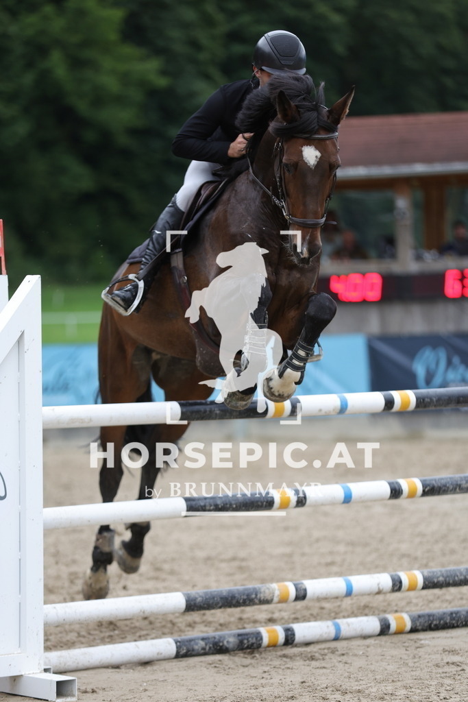 0P6A2976 | Willkommen bei Brunnmayr - Design & Fotografie – Ihrem Spezialisten für Reitturniere und Pferdeveranstaltungen in Oberösterreich, Salzburg und Bayern! Seit über 17 Jahren sind wir leidenschaftlich dabei.