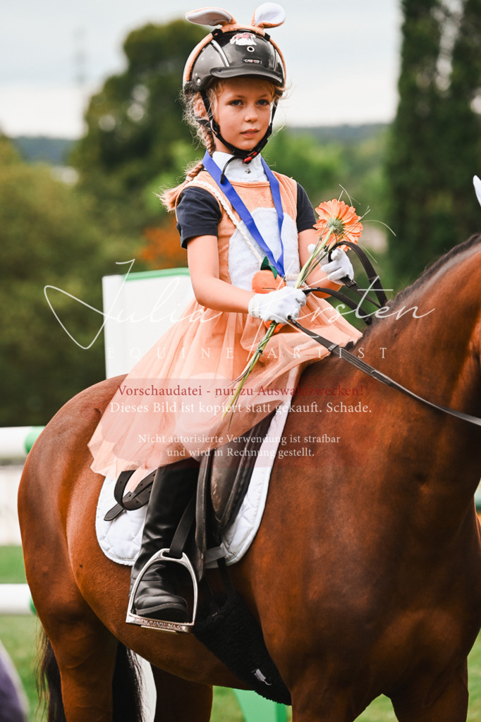 DSC_7487 | Pferde- und Turnierfotografie in Westsachsen. Pferdeportraits, Auftragszeichnungen und intuitive Kunst.