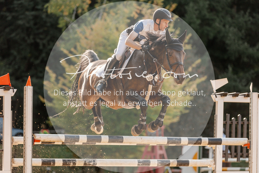 3I6A5136 | Stimmungsvolle Portraits und Reitsportfotografie im Ruhrgebiet und im Münsterland.

Pferdefotografie, Hundefotografie, Tierfotografie, Reportagen, Portraits von Tier und Mensch, Turnierfotografie in Bochum, Recklinghausen, Marl, Haltern am See, Dülmen.. - Realisiert mit Pictrs.com