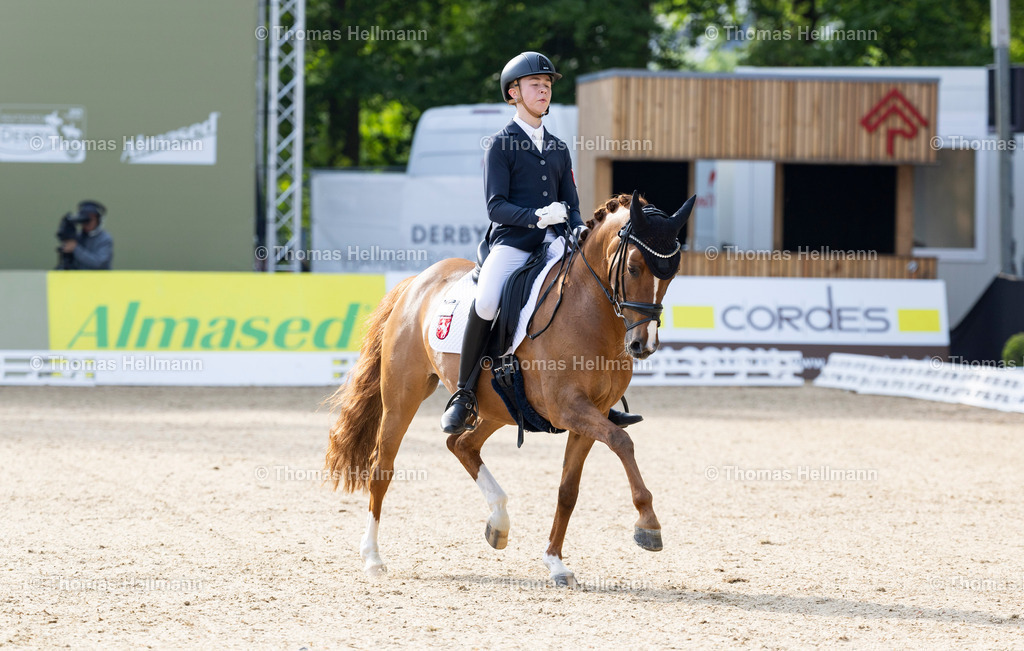 TH_602-BUCK Mats (GER)_ Dancing Sun HF_17453 | Deutsches Spring- und Dressur-Derby 2024 am 09.05.24 in Hamburg, 602BUCK Mats (GER), Dancing Sun HF