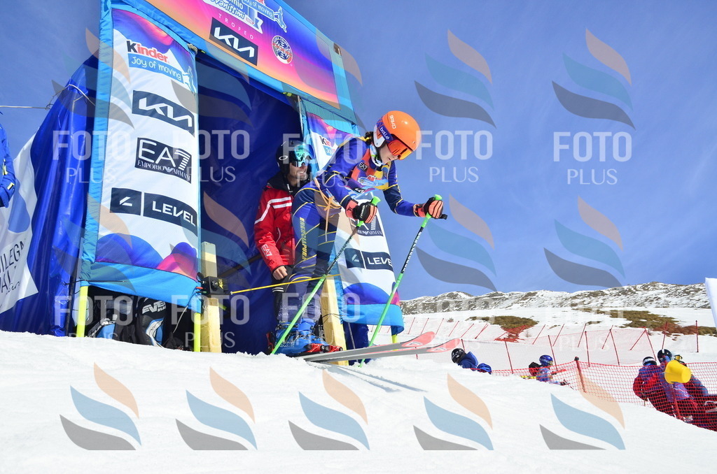 _ELE0613 | holidayphoto