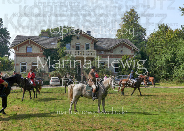 09-23 JAgd PerdölDSC02087_Marina Hewig | Fotografie, FotoArt, PferdesportArt, Pferdesportfotografie, Landschaftsfotografie, Reisefotografie, Reise, Pferde - Realisiert mit Pictrs.com