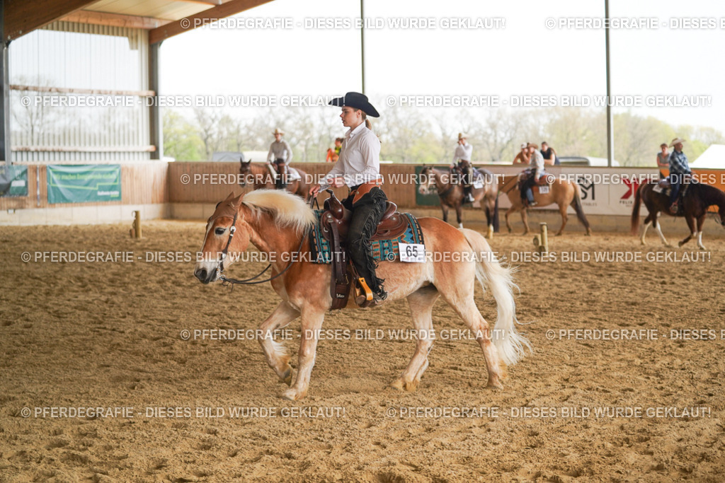 DSC01209 | Pferdegrafie