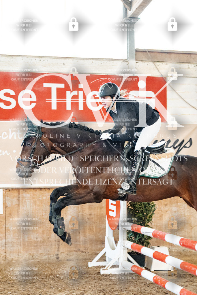 CK904288 | Turnierfotografie Pferdefotografie Trier Rheinland-Pfalz Pferdesport Reitsport Tierfotografie Sportfotografie Pferdevideo Pferdevideografie Equestrianvideography equestrianphotography  - Realisiert mit Pictrs.com