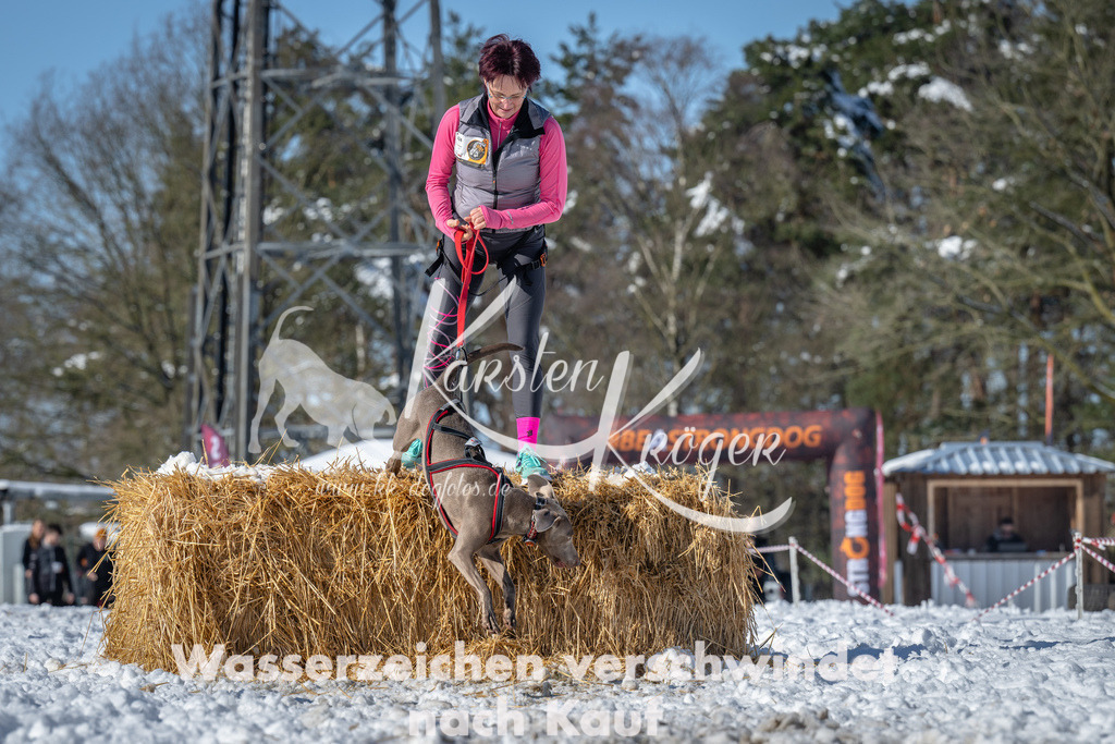 1135_ZZ90305-3 | kk-dogfotos