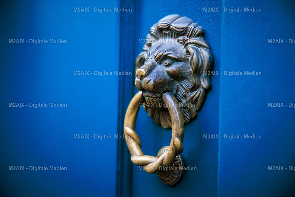 Lion | Professionelle Fotos von M2AIX aus Aachen – Events, Portraits und besondere Momente. Jetzt Ihre Bilder entdecken, auswählen und bequem online bestellen. - Realisiert mit Pictrs.com