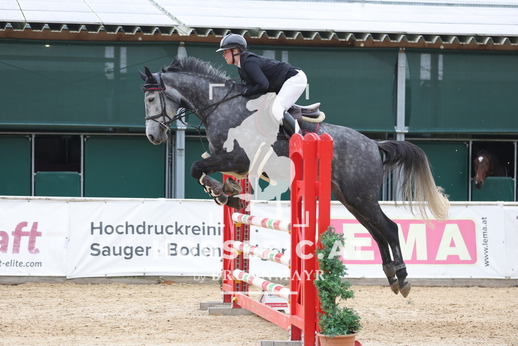 0P6A3243 | Willkommen bei Brunnmayr - Design & Fotografie – Ihrem Spezialisten für Reitturniere und Pferdeveranstaltungen in Oberösterreich, Salzburg und Bayern! Seit über 17 Jahren sind wir leidenschaftlich dabei.