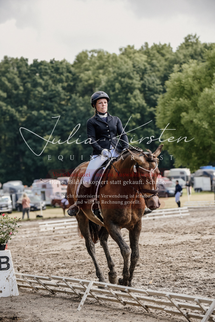 DSC_9313 | Pferde- und Turnierfotografie in Westsachsen. Pferdeportraits, Auftragszeichnungen und intuitive Kunst.