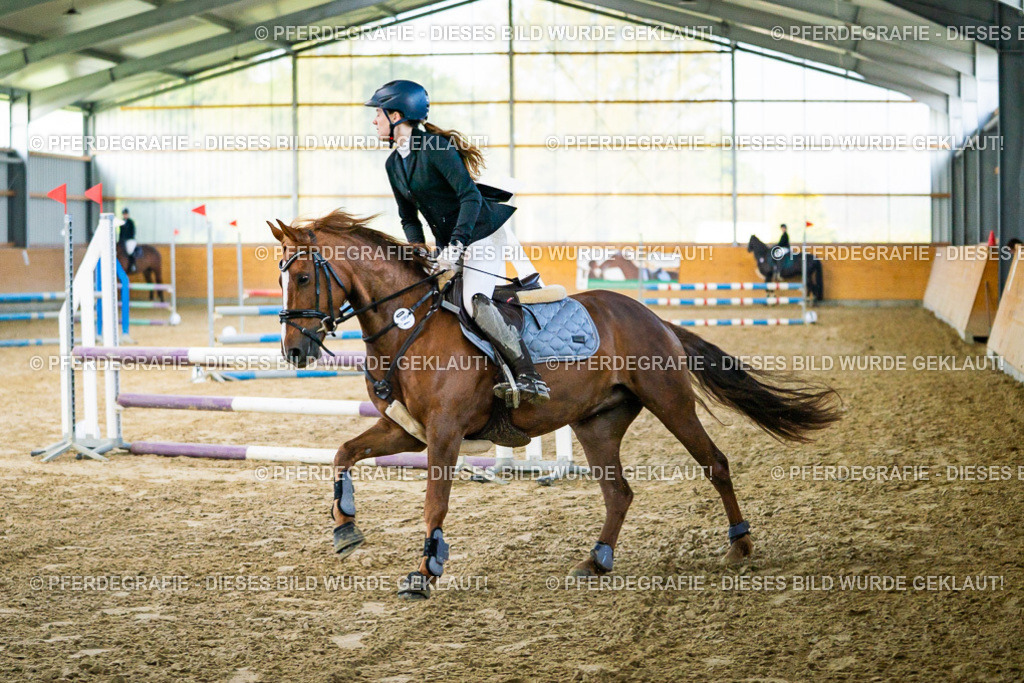 DSC00458 | Pferdegrafie