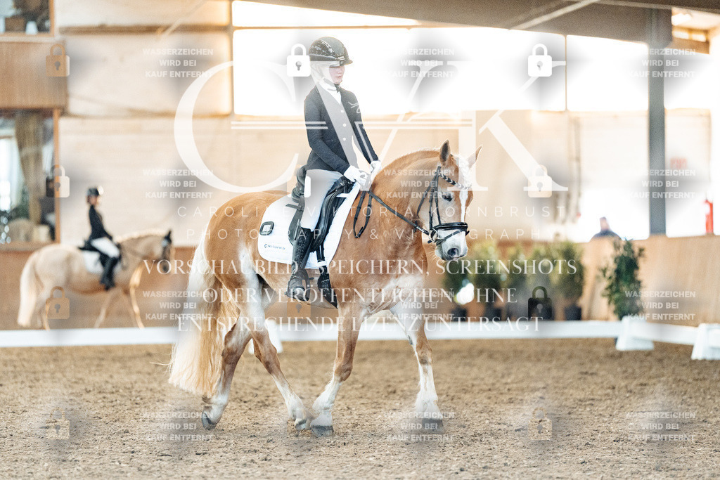 CK907372 | Turnierfotografie Pferdefotografie Trier Rheinland-Pfalz Pferdesport Reitsport Tierfotografie Sportfotografie Pferdevideo Pferdevideografie Equestrianvideography equestrianphotography  - Realisiert mit Pictrs.com