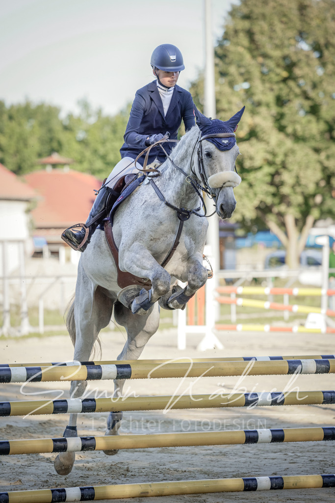 20250906-_3LI2940 | Tierfotografie Pferde, Hunde, Katzen, Haustiere.
Turnierfotografie Reitturniere, Reiten, Springreiten, Dressur in Hanau, dem Main-Kinzig-Kreis und dem Rhein-Main- Gebiet um Frankfurt
