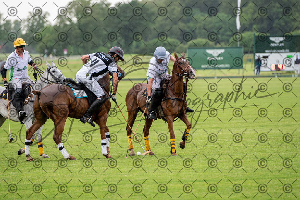 POL_2654-2 | andre_photographic