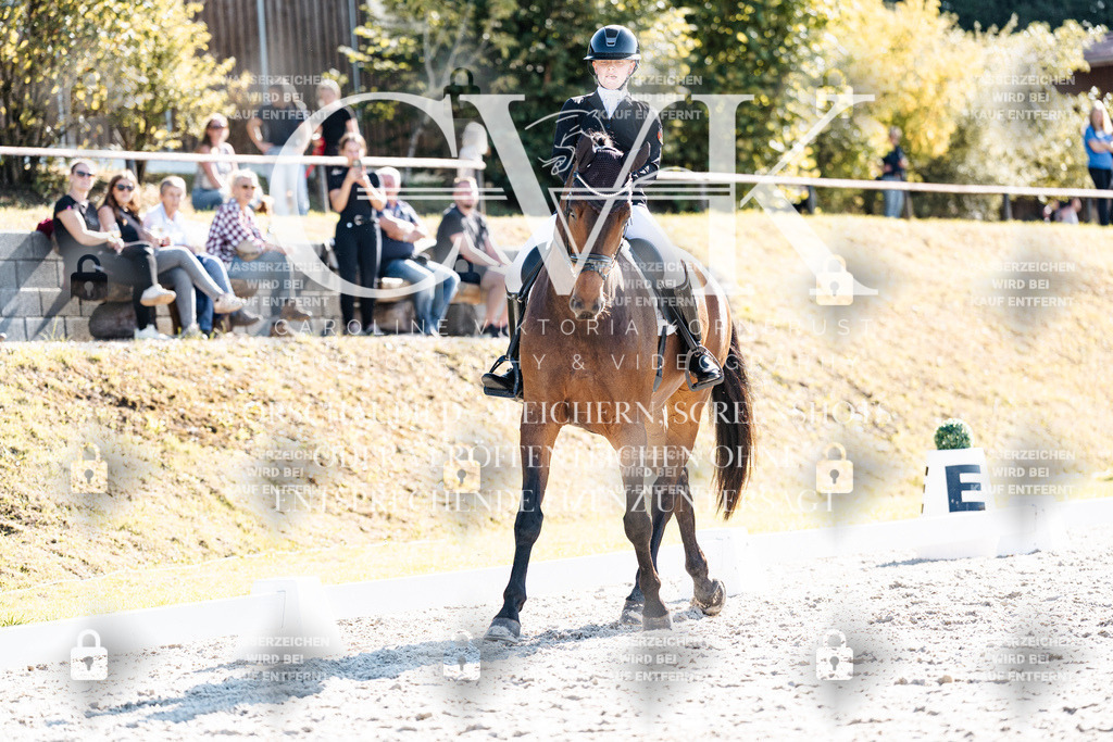CK905664 | Turnierfotografie Pferdefotografie Trier Rheinland-Pfalz Pferdesport Reitsport Tierfotografie Sportfotografie Pferdevideo Pferdevideografie Equestrianvideography equestrianphotography  - Realisiert mit Pictrs.com