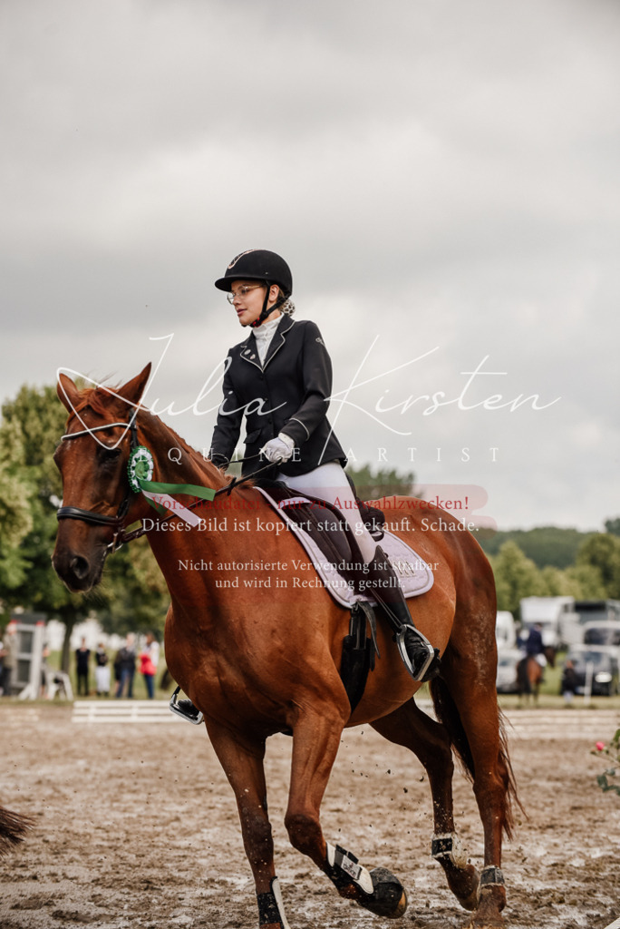 DSC_9407 | Pferde- und Turnierfotografie in Westsachsen. Pferdeportraits, Auftragszeichnungen und intuitive Kunst.