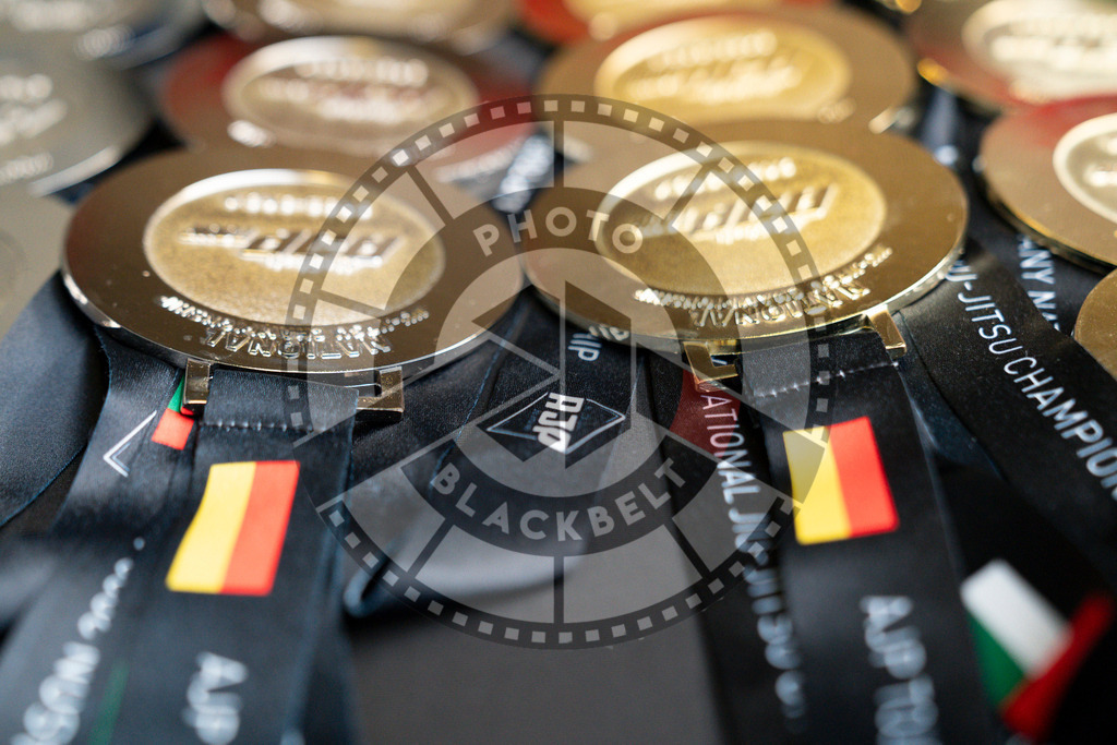 20240908PBB2540 | Athletes compete during the AJP Hamburg competition on September 8, 2024 in Hamburg, northern Germany.