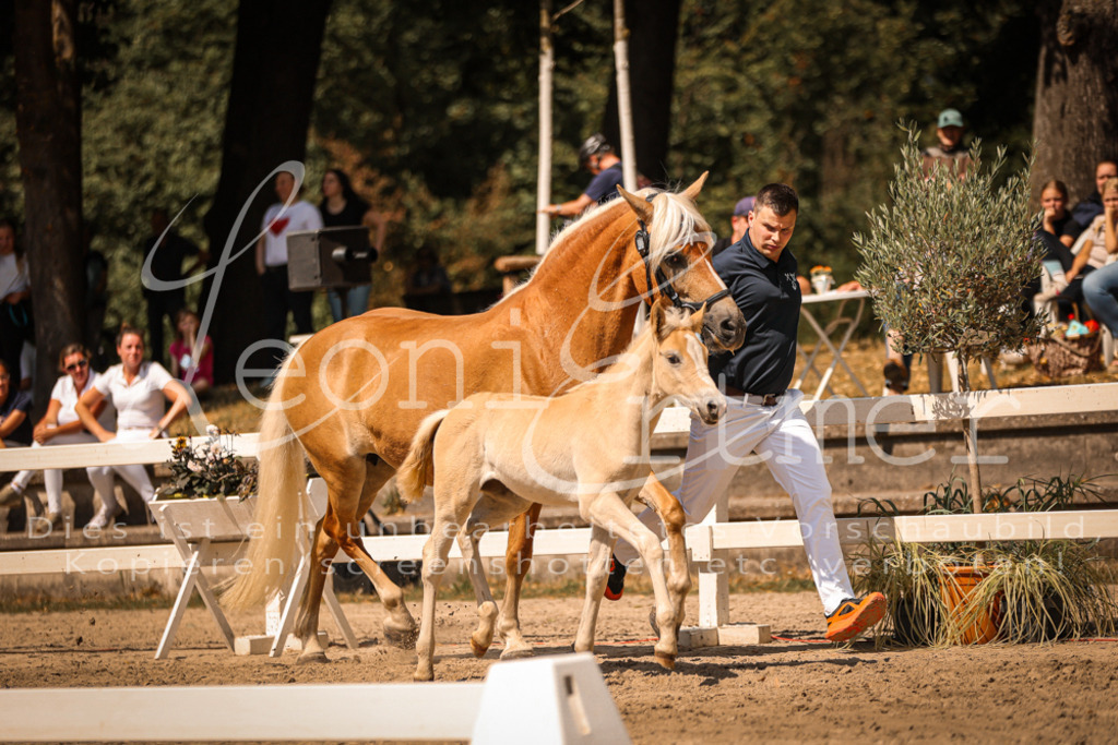 06.DoH00139 | Leoni Ertmer Photography - Realisiert mit Pictrs.com