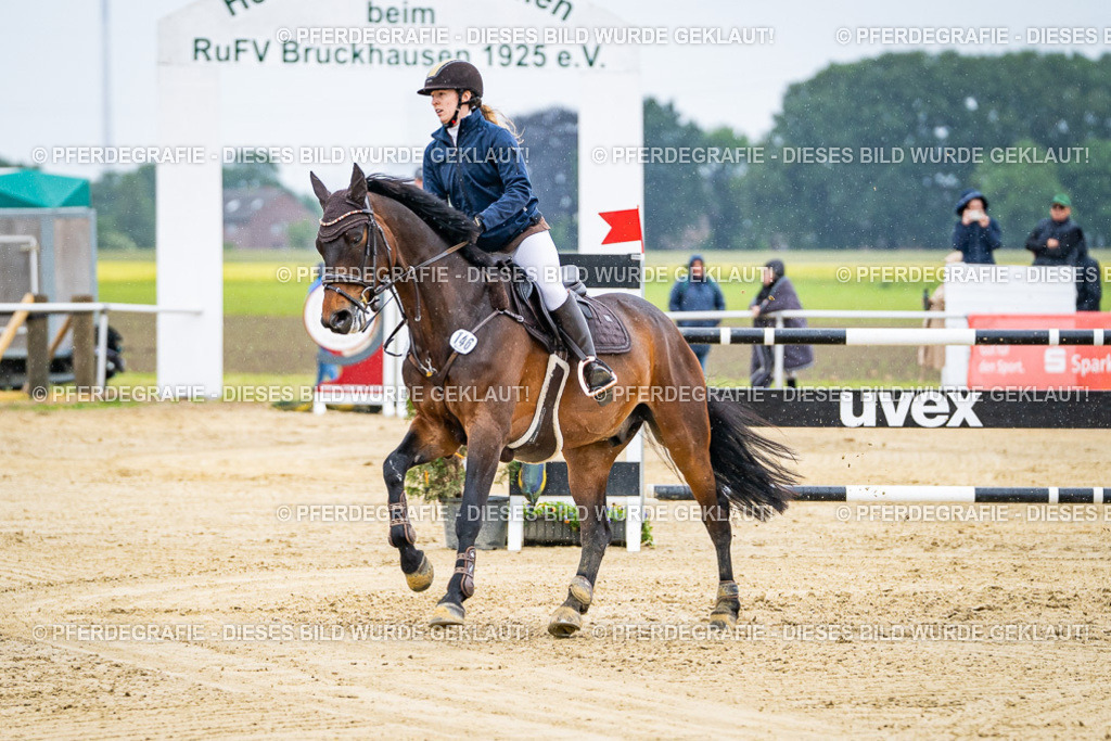 DSC07729 | Pferdegrafie