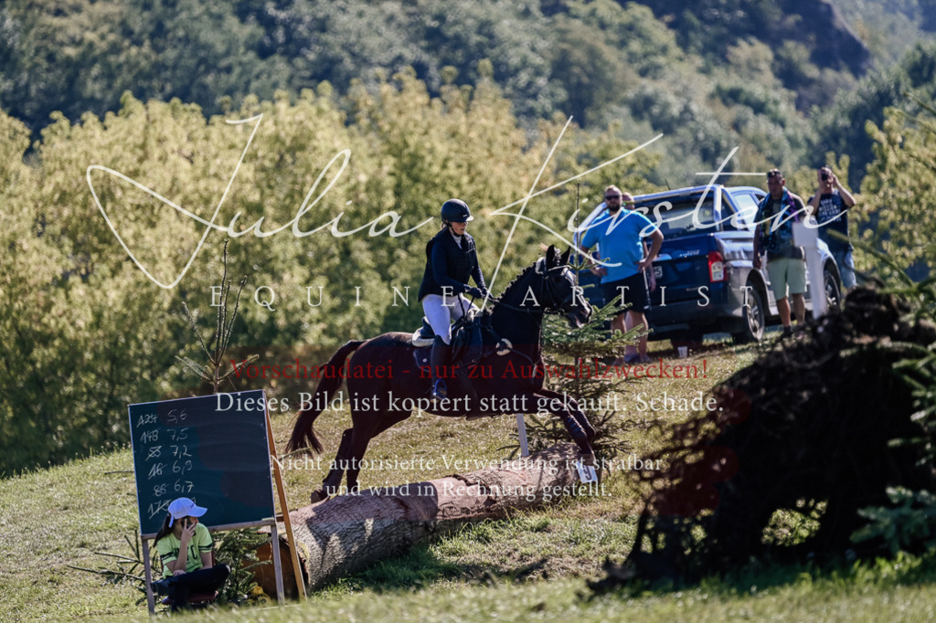 DSC_3229 | Pferde- und Turnierfotografie in Westsachsen. Pferdeportraits, Auftragszeichnungen und intuitive Kunst.