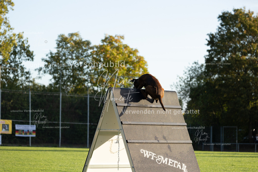 _16A6029 | Einzigartige Fotos von Hunden & Menschen –Actionfotos, Portraits, Vereinsaufnahmen & Paarshootings – authentisch, lebendig & mit Herz.