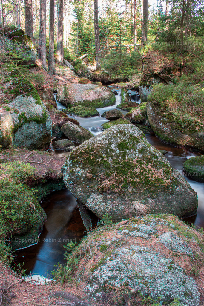 20200412-unbenannt-(C)RobinZinnert-IMG_0349 | Robin Zinnert - Realisiert mit Pictrs.com