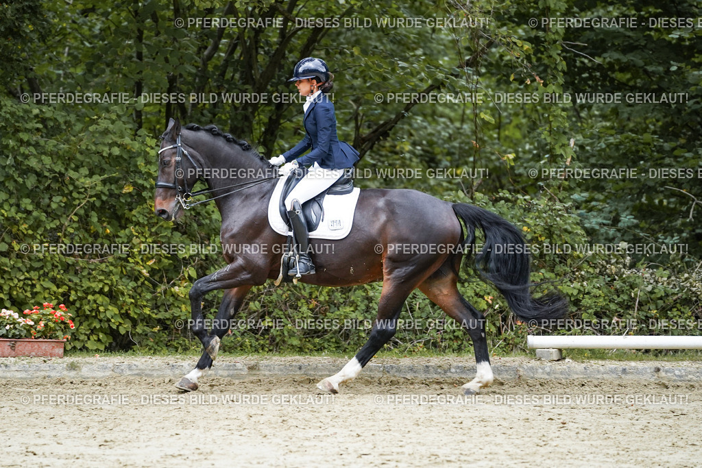 DSC00677 | Pferdegrafie