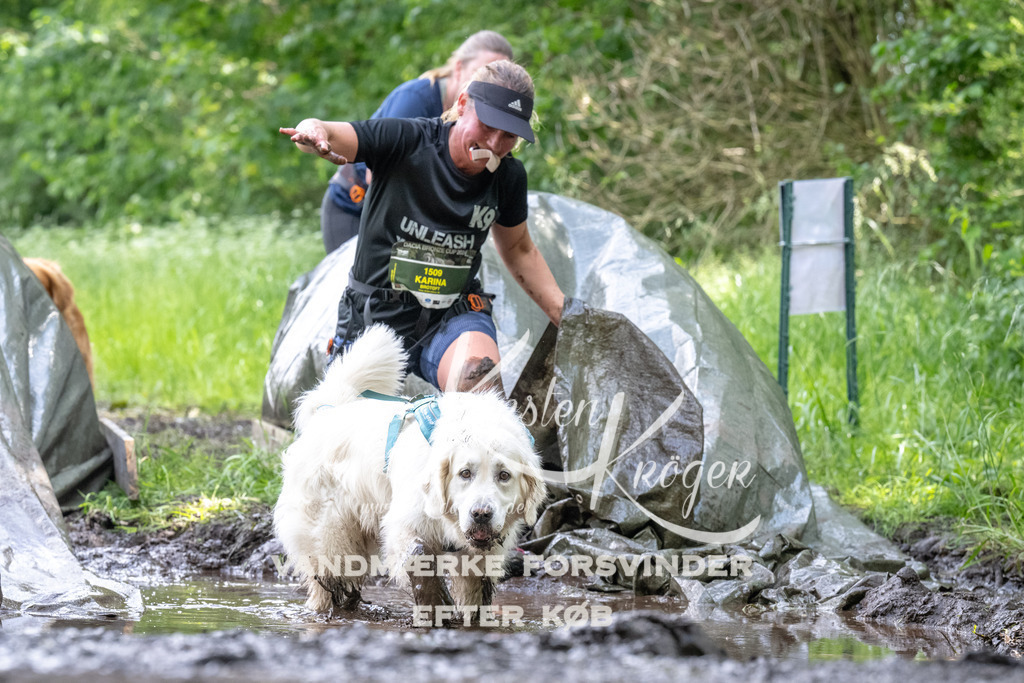 1241_ZZ93105 | kk-dogfotos