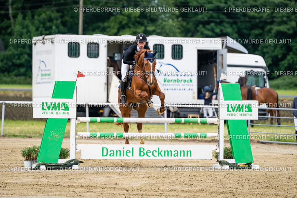 DSC04866 | Pferdegrafie