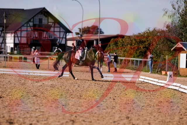 2026_10_03_Siefer-Hof_133844_Z81_97091850 | Professionelle Reitsport-, Turnier- und Eventfotografie von Robert Broda. Galerien mit ausgewählten und bearbeiteten Bildern direkt online ansehen und bestellen.