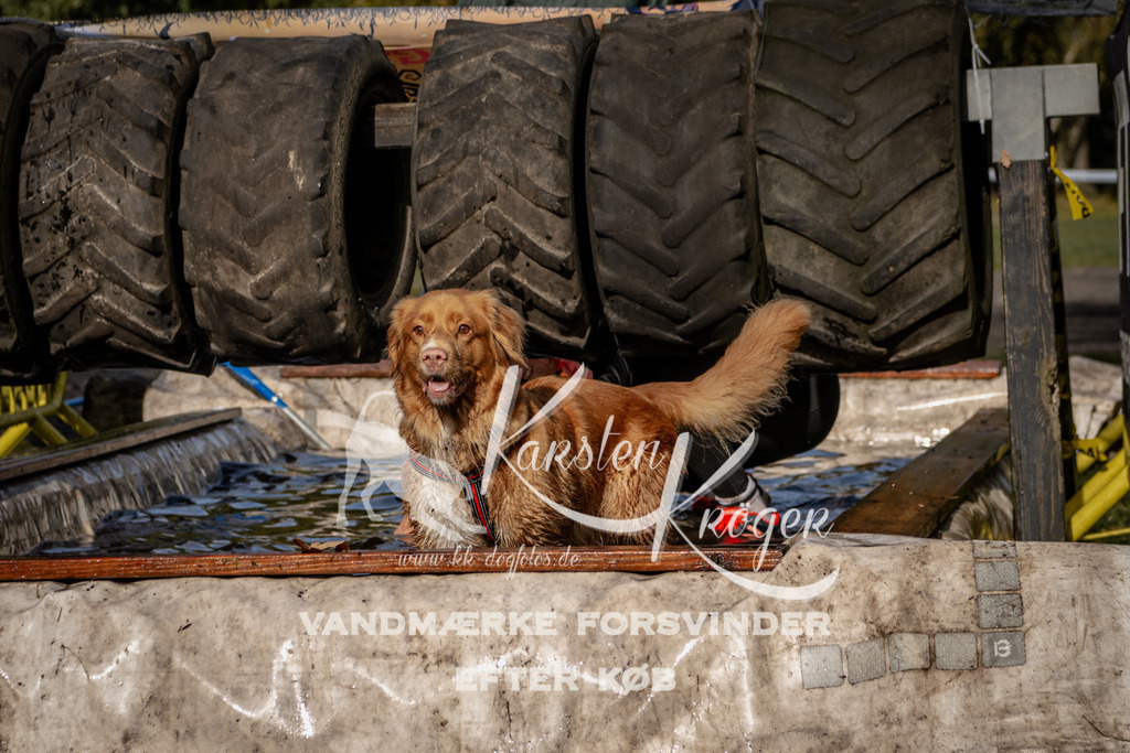 1358_ZZ93528 | kk-dogfotos