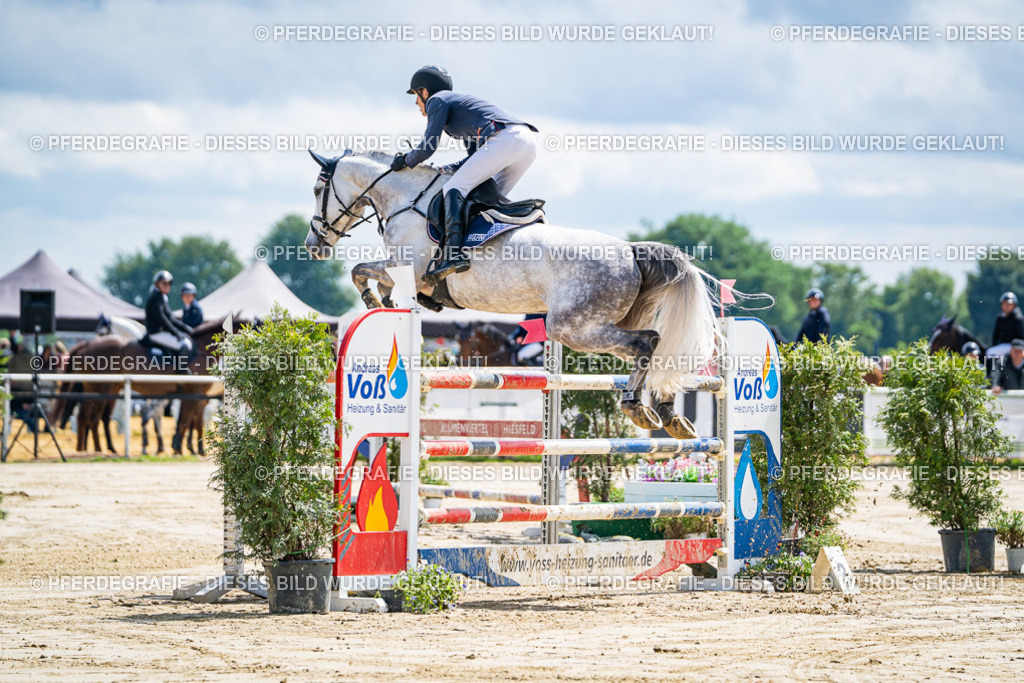 DSC05174 | Pferdegrafie