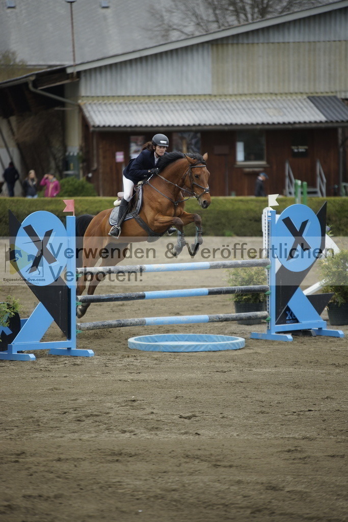 _DSC7329 | equestrian-live-com
