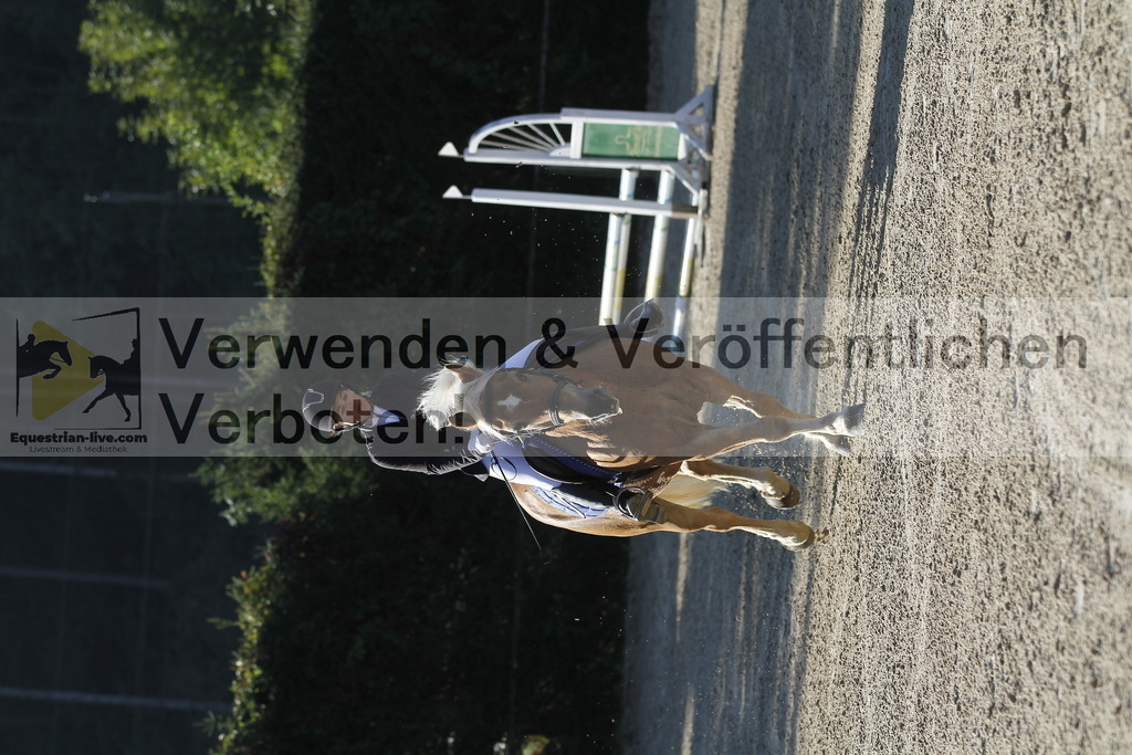 _MG_3829 | equestrian-live-com