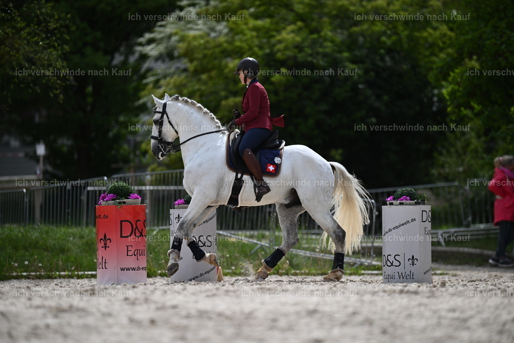 PI26_ST_Sara_Landvogt226_3725.JPG | working equitationturnier fotograf videograf stoibphotography marixx film working equitation deutschland reitsport turnierfotografie eventfotografie equestrian events