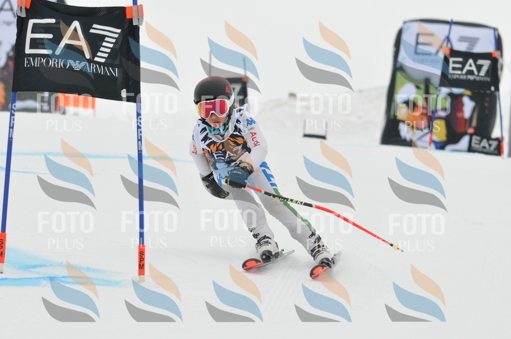 DSC_7466 | holidayphoto