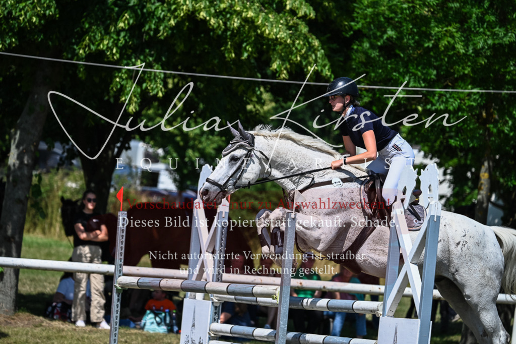 DSC_1087 | Pferde- und Turnierfotografie in Westsachsen. Pferdeportraits, Auftragszeichnungen und intuitive Kunst.