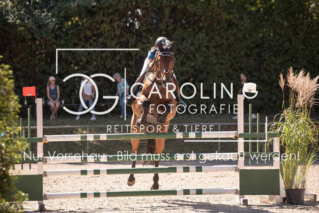 DSC_7532 | Turnierfotografin Carolin Gieschke, Turnierfotografie Carolin G Fotografie, Turnierfotos Kirchheim/Teck, Esslingen, Stuttgart, Bodenseekreis