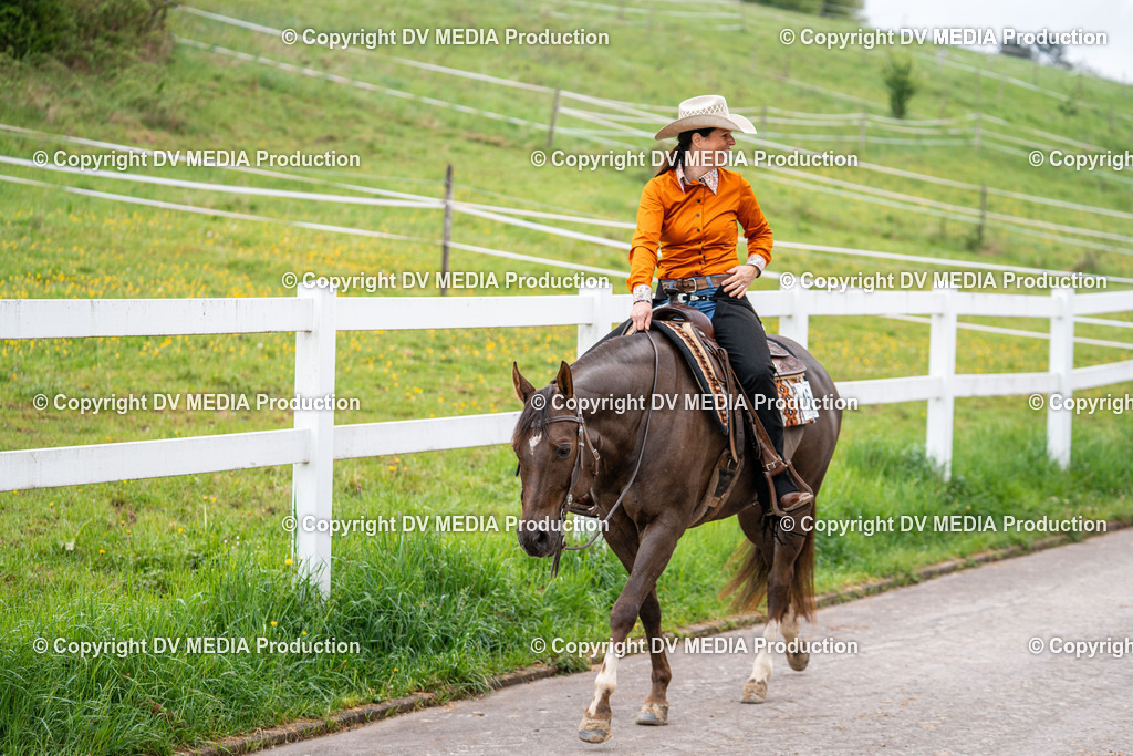 Heiligenwald Tag 1-366 | dv-media-shop - Realisiert mit Pictrs.com