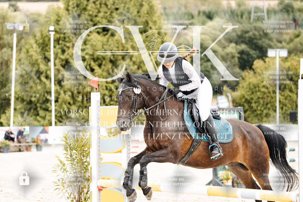 CK908783 | Turnierfotografie Pferdefotografie Trier Rheinland-Pfalz Pferdesport Reitsport Tierfotografie Sportfotografie Pferdevideo Pferdevideografie Equestrianvideography equestrianphotography  - Realisiert mit Pictrs.com