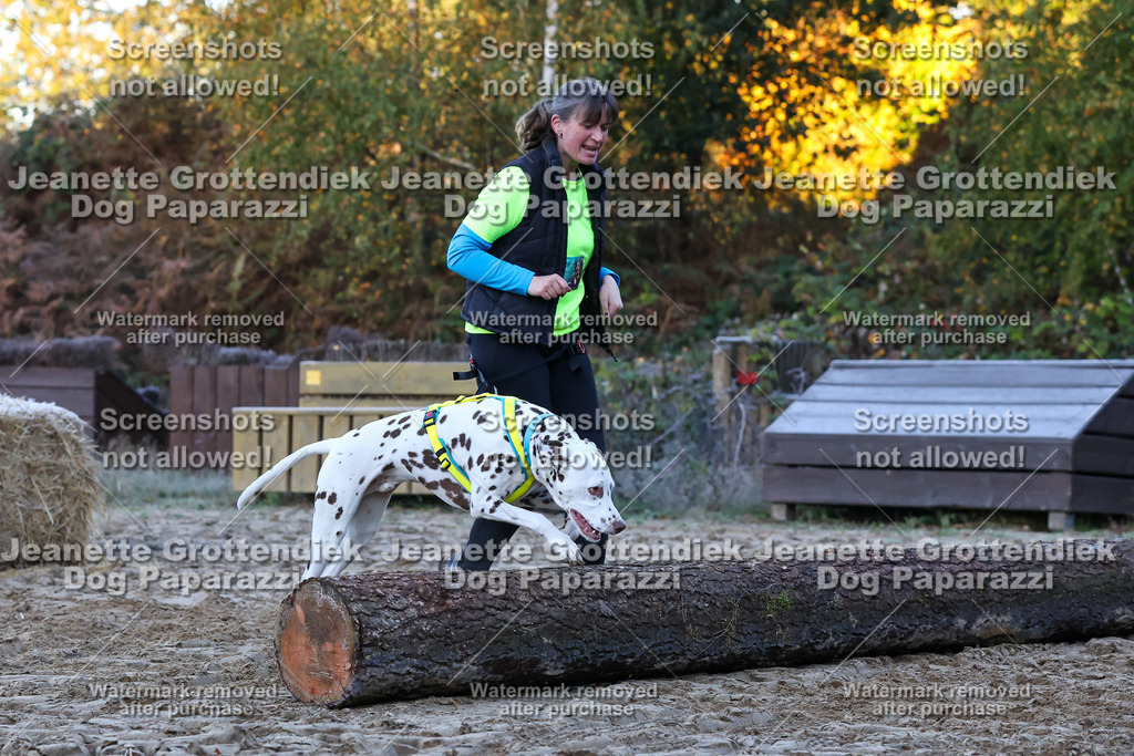 Dog Paparazzi - Strongdog 10-25-304 | Dog Paparazzi Jeanette Grottendiek Fotografie & Videografie - Realisiert mit Pictrs.com